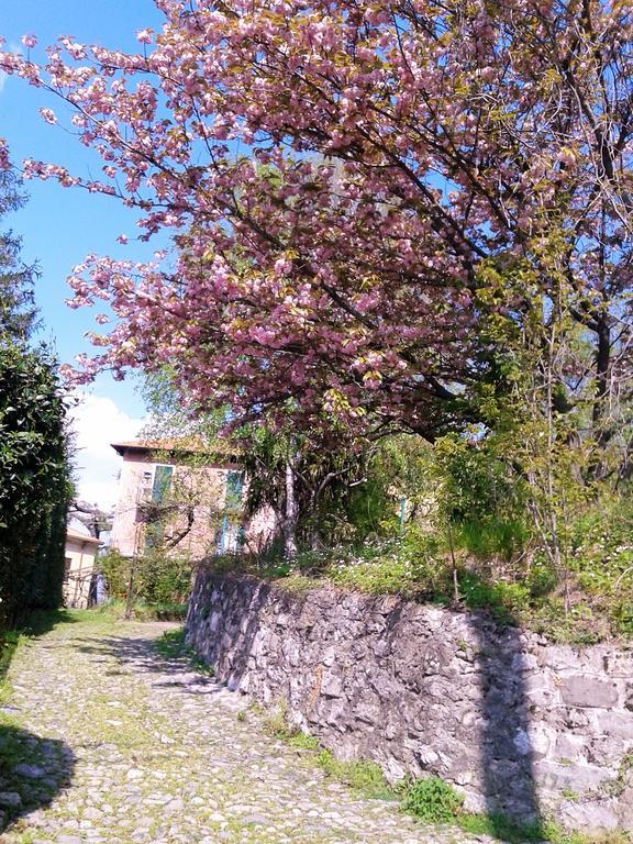 Ferienwohnung La Ca Del Menec Lierna Exterior foto