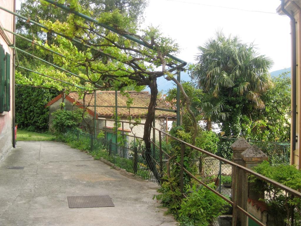 Ferienwohnung La Ca Del Menec Lierna Exterior foto